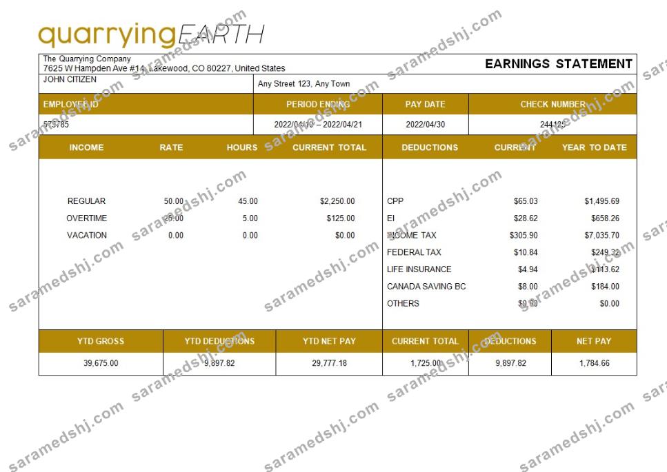 quarrying company fully editable paystub template in Word and PDF formats